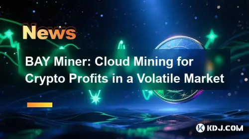 BAY Miner: Cloud Mining for Crypto Profits in a Volatile Market