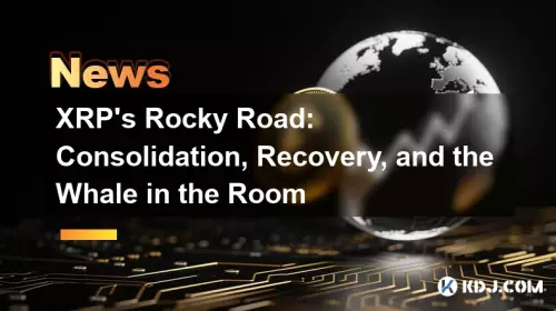 XRP 's Rocky Road : 방의 통합, 회복 및 고래