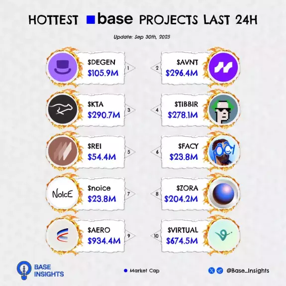 Base Insights