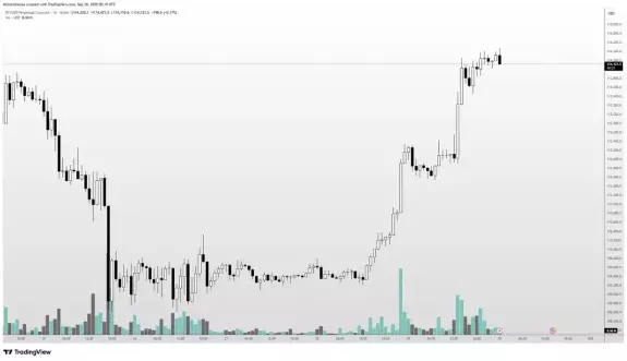 Altcoin Sherpa