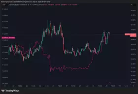 Daan Crypto Trades