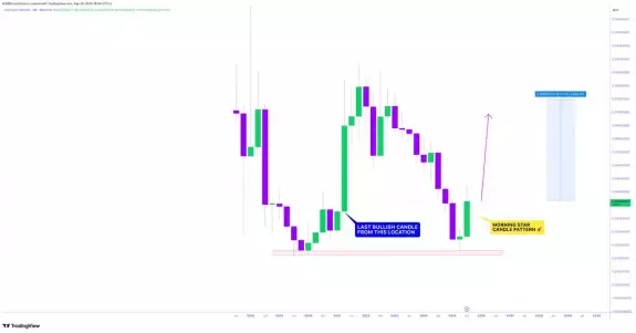 CRYPTOWZRD