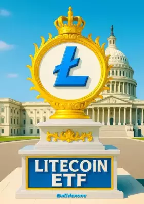 ALLDEX