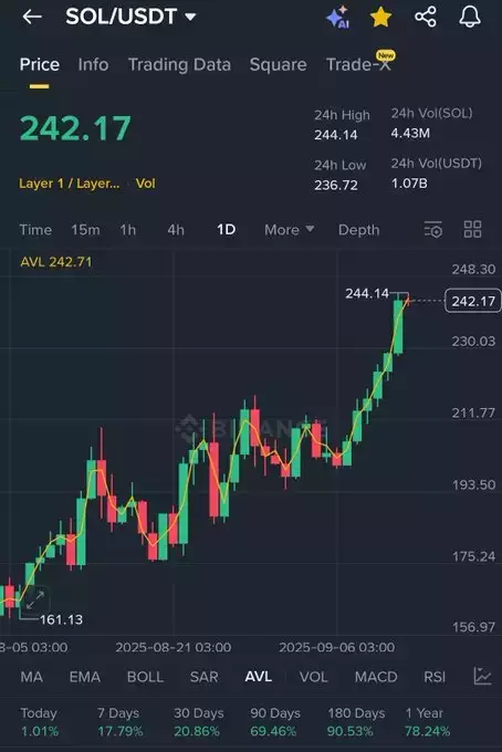 Bitcoin professor