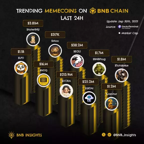 BNB Insights