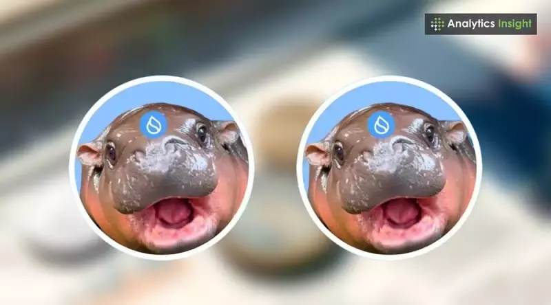 Memecoin Mania: Sudeng, Moodeng, and the Wild World of Crypto Hype