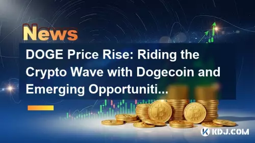 Doge Price Rise：Dogecoinと新たな機会で暗号波に乗る