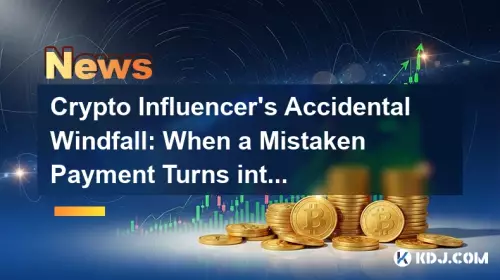 La manne accidentelle de l'influenceur crypto: lorsqu'un paiement erroné se transforme en dilemme éthique La manne accidentelle de l'influenceur crypto: lorsqu'un paiement erroné se transforme en dilemme éthique