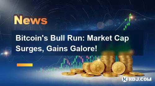 Bitcoin's Bull Run: Marktkapitalisierung, Gewinne in Hülle und Fülle! Bitcoin's Bull Run: Marktkapitalisierung, Gewinne in Hülle und Fülle!