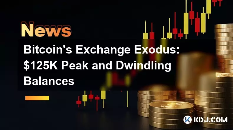 ビットコインの交換出エジプト記：125,000ドルのピークと減少残高