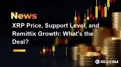 XRP 가격, 지원 수준 및 Remittix Growth : 거래는 무엇입니까?