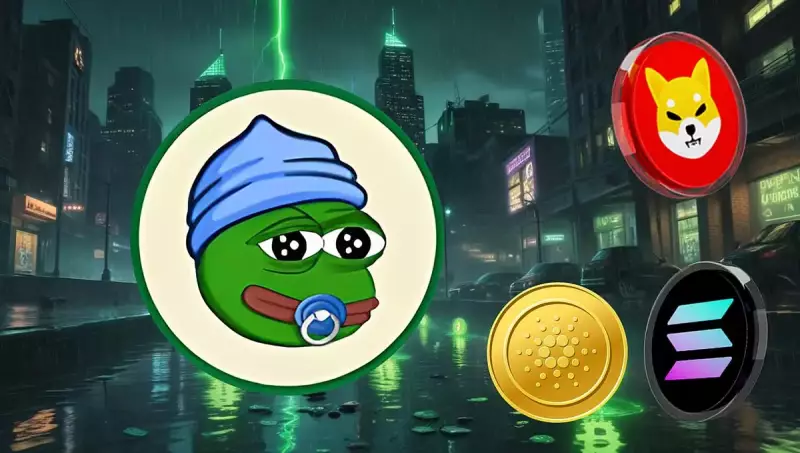 암호화 트렌드 디코딩 : Blockdag의 $ 420m Presale이 스포트라이트를 훔칩니다 암호화 트렌드 디코딩 : Blockdag의 $ 420m Presale이 스포트라이트를 훔칩니다