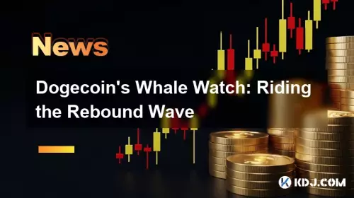 Dogecoins Walwache: Reiten der Abprallerwelle