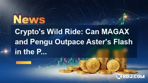 Crypto's Wild Ride：MagaxとPenguはパンのアスターの閃光を上回ることができますか？
