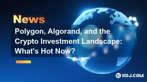 Polygon, Algorand, and the Crypto Investment Landscape: What's Hot Now?