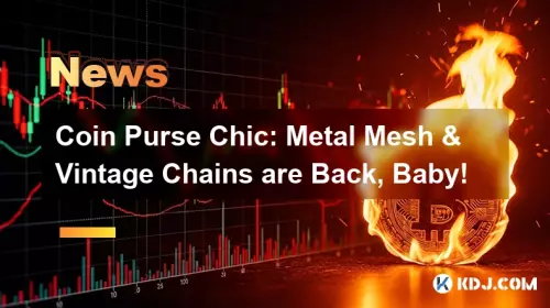 Coin Purse Chic: Metal Mesh & Vintage Chains are Back, Baby!