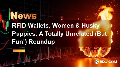 RFID Wallets, Women & Husky Puppies: A Totally Unrelated (But Fun!) Roundup