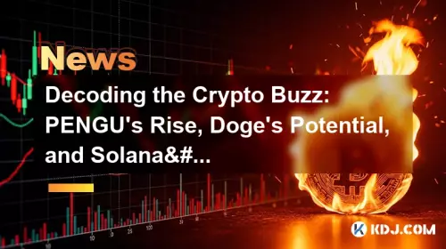 Decoding the Crypto Buzz: PENGU's Rise, Doge's Potential, and Solana's Undervalued Strength