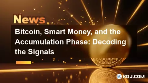 ビットコイン、スマートマネー、蓄積フェーズ：信号の解読