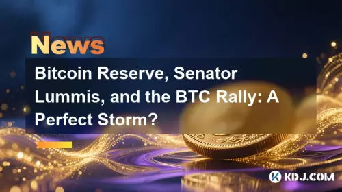 Bitcoin Reserve, Sénator Lummis et The BTC Rally: A Perfect Storm?