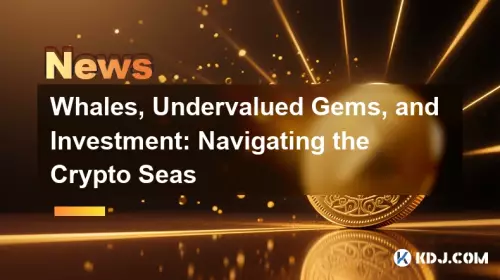 Whales, Undervalued Gems, and Investment: Navigating the Crypto Seas