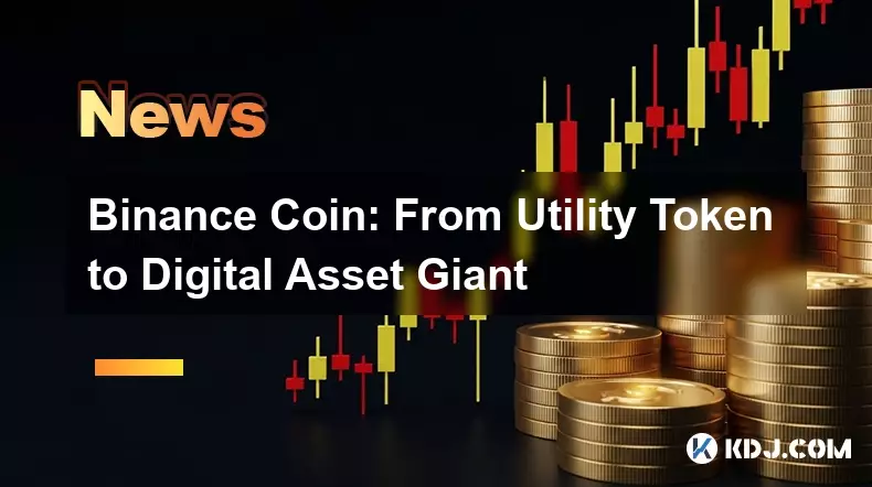 Binance Coin: From Utility Token to Digital Asset Giant