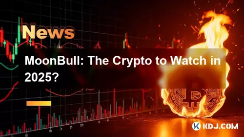 MOONBULL : 2025 년에 볼 암호화?