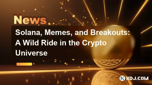 Solana, mèmes et éruptions: une balade sauvage dans l'univers de la cryptographie