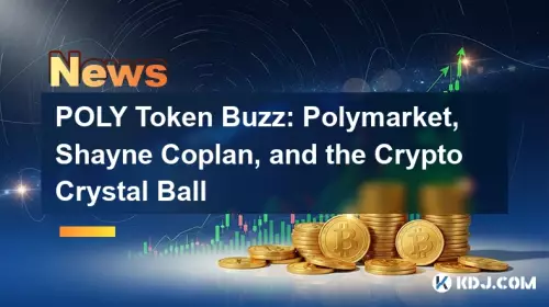 POLY 代币热议：Polymarket、Shayne Coplan 和加密水晶球