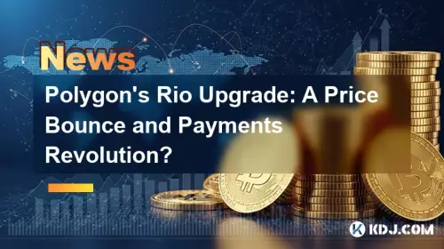 Polygon 的 Rio 升级：价格反弹和支付革命？