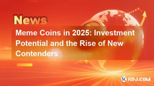 2025 年 Meme 币：投资潜力和新竞争者的崛起