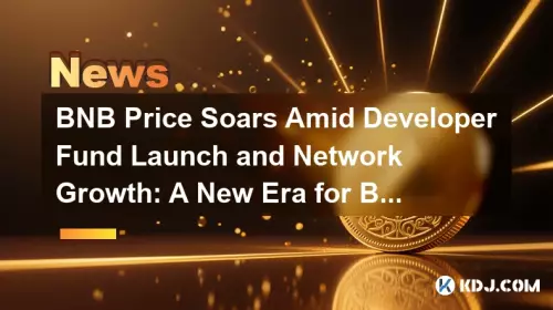 开发者基金启动和网络增长,BNB 价格飙升:BNB 链的新时代? 开发者基金启动和网络增长,BNB 价格飙升:BNB 链的新时代?