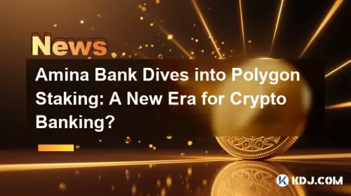 Amina Bank stürzt sich in Polygon Staking: Eine neue Ära für Krypto-Banking? Amina Bank stürzt sich in Polygon Staking: Eine neue Ära für Krypto-Banking?
