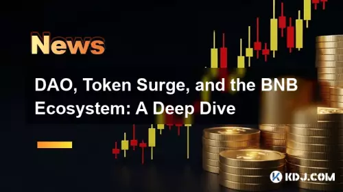 DAO, 토큰 급증, BNB 생태계: 심층 분석