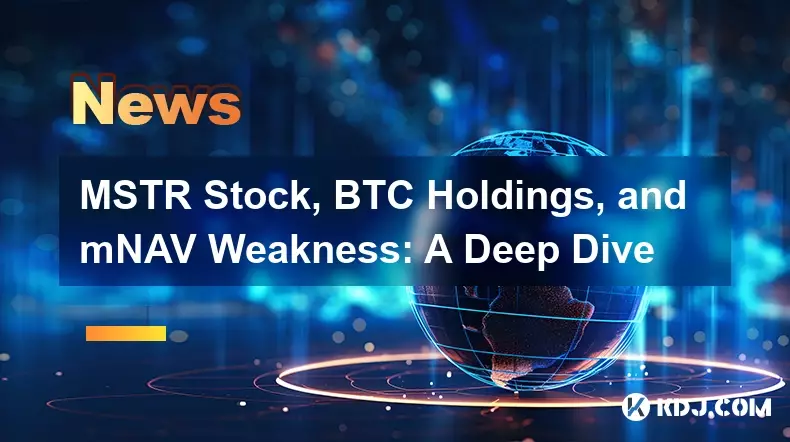 MSTR 股票、BTC Holdings 和 mNAV 弱点：深入剖析