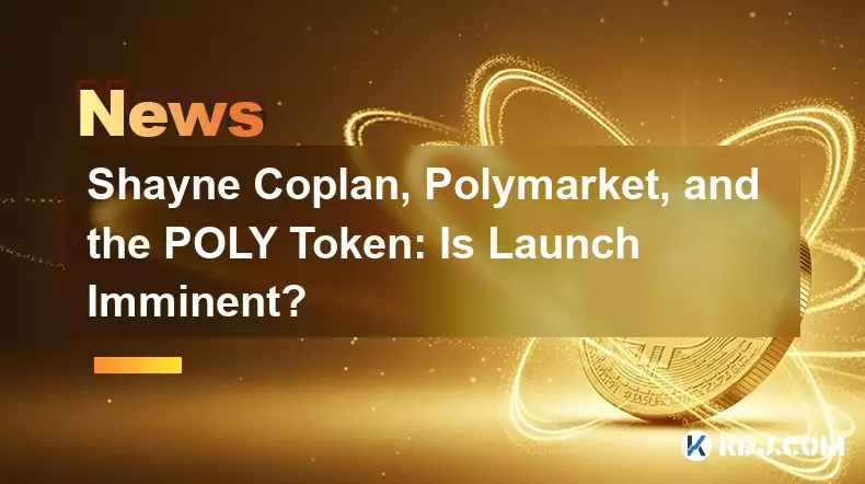 Shayne Coplan、Polymarket 和 POLY 代幣：即將推出嗎？
