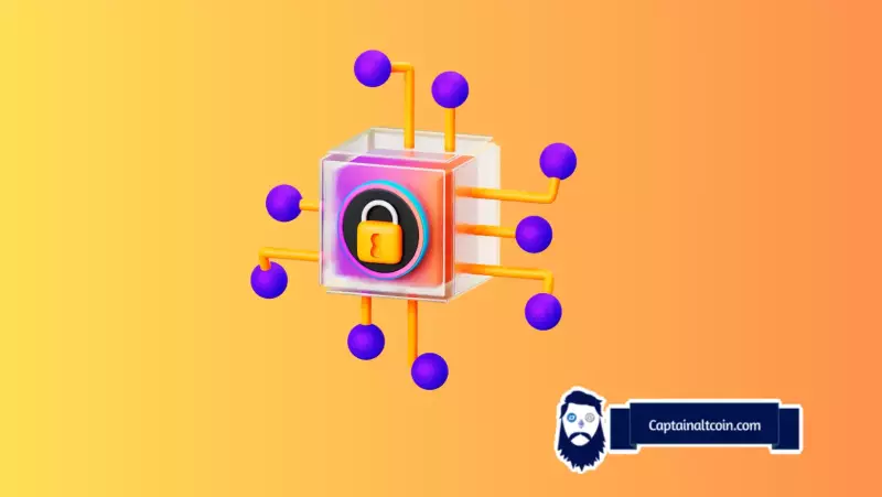 Web3 Wallets, DeFi, and the Road to 2025: A User's Guide