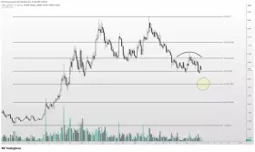 Altcoin Sherpa