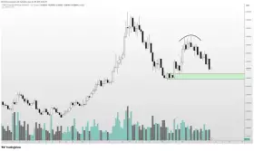 Altcoin Sherpa