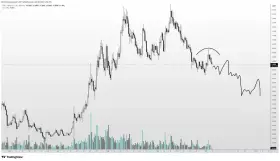 Altcoin Sherpa