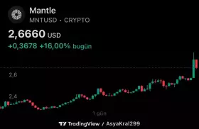 Kripto Kralı