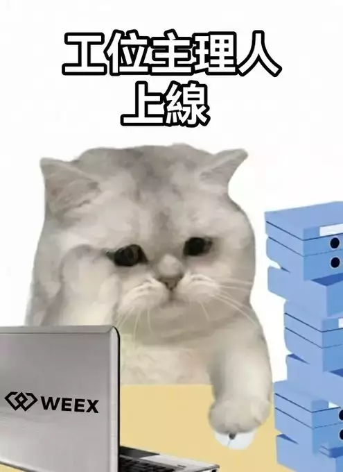 WEEX唯客中文