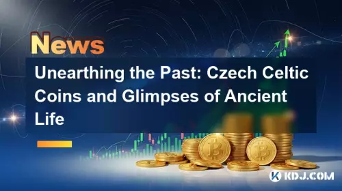 Unearthing the Past: Czech Celtic Coins and Glimpses of Ancient Life