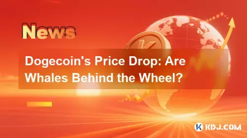Dogecoin's Price Drop: Are Whales Behind the Wheel?