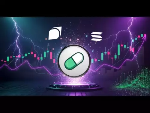 Meow-Dev에서 깔개를 당기지 마세요 | 펌프.재미