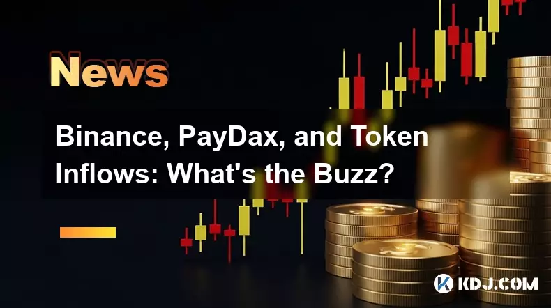 Binance-, PayDax- und Token-Zuflüsse: Was ist los? Binance-, PayDax- und Token-Zuflüsse: Was ist los?