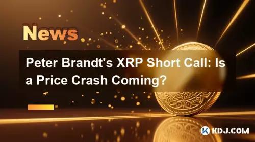 Peter Brandts XRP Short Call: Kommt ein Preisverfall? Peter Brandts XRP Short Call: Kommt ein Preisverfall?