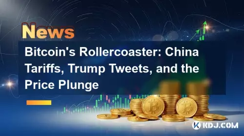 Les montagnes russes du Bitcoin : tarifs douaniers chinois, tweets de Trump et chute des prix Les montagnes russes du Bitcoin : tarifs douaniers chinois, tweets de Trump et chute des prix