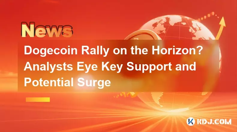 지평선 위의 도지코인 랠리? 분석가의 눈 주요 지원 및 잠재적인 급증 지평선 위의 도지코인 랠리? 분석가의 눈 주요 지원 및 잠재적인 급증