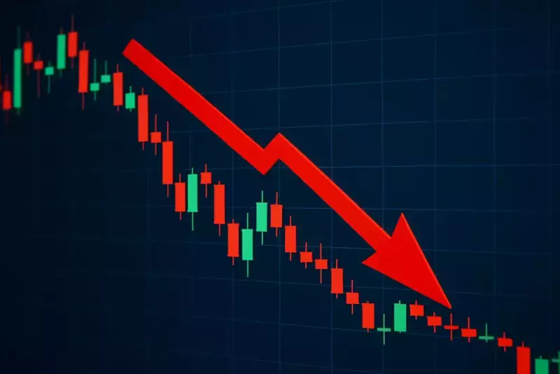 Décoder les tendances cryptographiques : des bains de sang du marché à la Meme Coin Mania et à la quête de la prochaine crypto 100x
